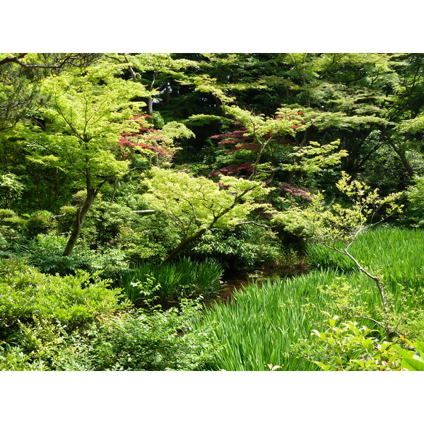 รูปถ่าย ญี่ปุ่น(Japan) โตเกียว(Tokyo) พิพิธภัณฑ์เนซุ(Nezu Museum) 2010-06 35