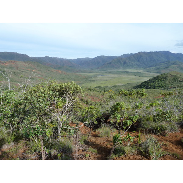 รูปถ่าย นิวแคลิโดเนีย(New Caledonia) อุทยานริเวียร์เบลอ(Parc de la Riviere Bleue) 2010-05 131