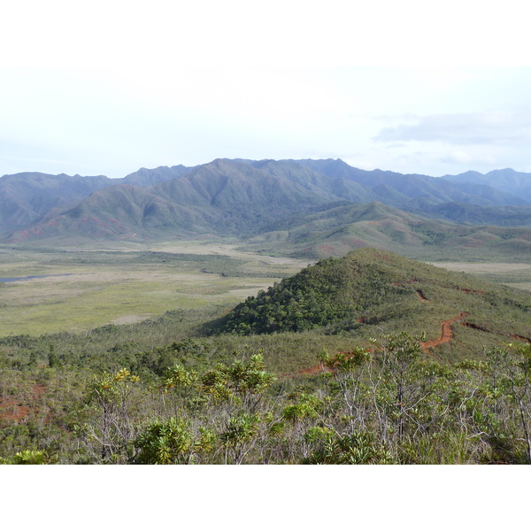 รูปถ่าย นิวแคลิโดเนีย(New Caledonia) อุทยานริเวียร์เบลอ(Parc de la Riviere Bleue) 2010-05 102