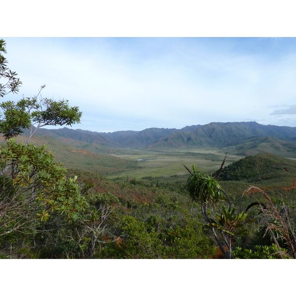 รูปถ่าย นิวแคลิโดเนีย(New Caledonia) อุทยานริเวียร์เบลอ(Parc de la Riviere Bleue) 2010-05 93