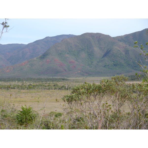 รูปถ่าย นิวแคลิโดเนีย(New Caledonia) อุทยานริเวียร์เบลอ(Parc de la Riviere Bleue) 2010-05 84