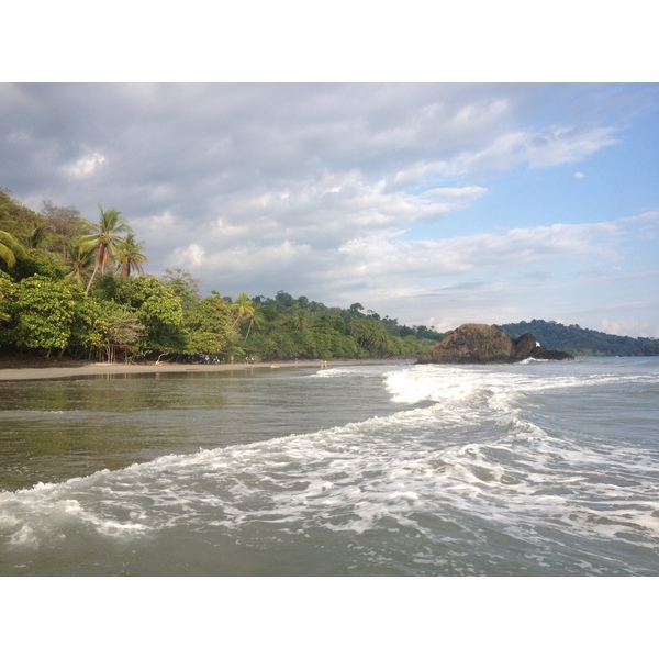 รูปถ่าย คอสตาริกา(Costa Rica) มานวยล์อันโตนีโอ(Manuel Antonio) 2015-03 278