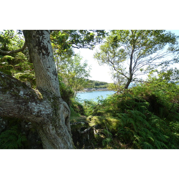 รูปถ่าย อังกฤษ(United Kingdom) สกอตแลนด์(Scotland) เซเลน(Salen) 2011-07 4