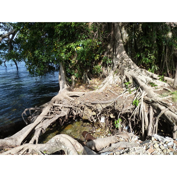 รูปถ่าย ไทย(Thailand) เกาะช้าง(Ko Chang) 2011-12 0