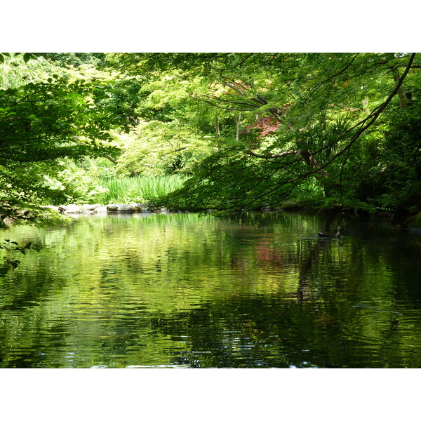 รูปถ่าย ญี่ปุ่น(Japan) โตเกียว(Tokyo) พิพิธภัณฑ์เนซุ(Nezu Museum) 2010-06 58