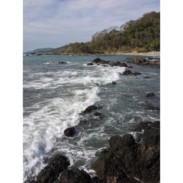 รูปถ่าย คอสตาริกา(Costa Rica) มอนเตซูมา(Montezuma) 2015-03 121