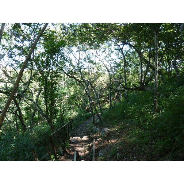 รูปถ่าย ฟิจิ(Fiji) ป้อมเนินเขาตาวูนี(Tavuni Hill Fort) 2010-05 23