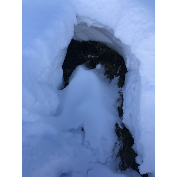 รูปถ่าย ฝรั่งเศส(France) ปรา-ซูร์-อาร์ลี(Praz sur Arly) 2019-12 297