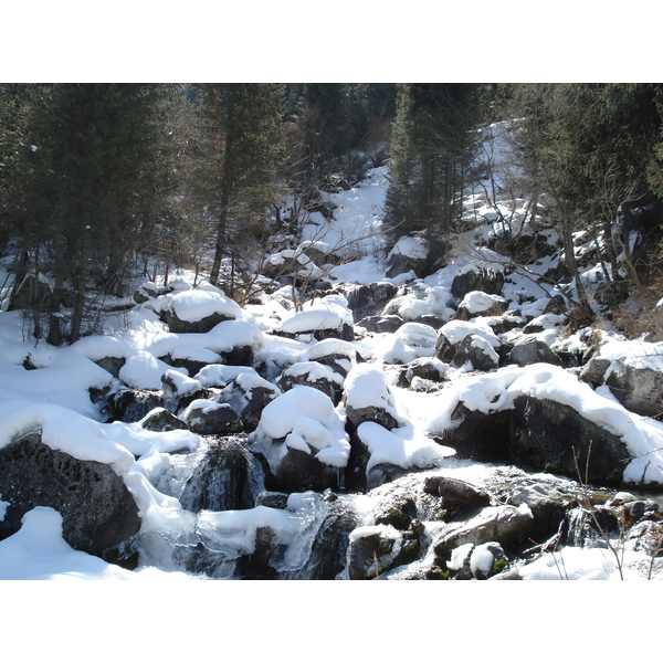 รูปถ่าย คาซัคสถาน(Kazakhstan) อุทยานแห่งชาติอีเลอาลาเตา(Ile Alatau National Park) 2007-03 19