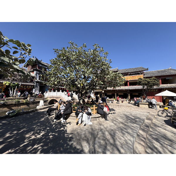 รูปถ่าย จีน(China) ลี่เจียง(Lijiang) 2026-01 630