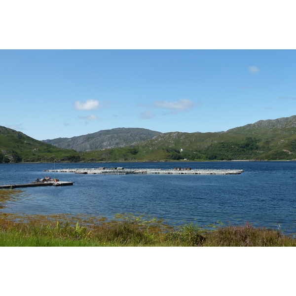 รูปถ่าย อังกฤษ(United Kingdom) สกอตแลนด์(Scotland) เซเลน(Salen) 2011-07 86