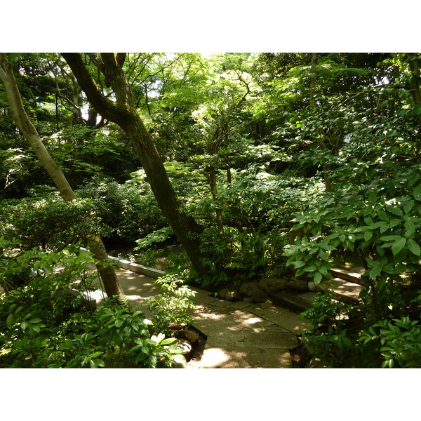 รูปถ่าย ญี่ปุ่น(Japan) โตเกียว(Tokyo) พิพิธภัณฑ์เนซุ(Nezu Museum) 2010-06 22