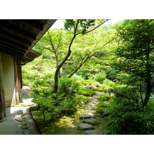 รูปถ่าย ญี่ปุ่น(Japan) โตเกียว(Tokyo) พิพิธภัณฑ์เนซุ(Nezu Museum) 2010-06 11