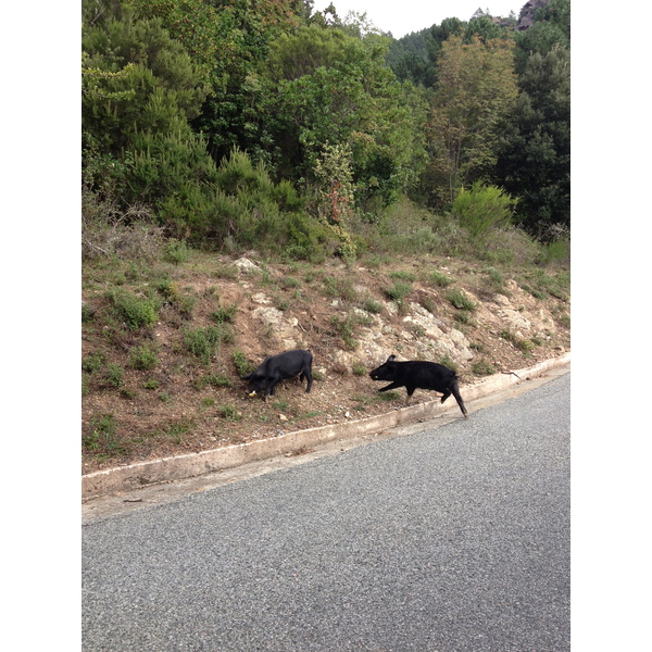 รูปถ่าย ฝรั่งเศส(France) คอร์สิคา(Corsica) โซเลนซารา(Solenzara) 2012-09 2