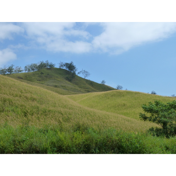 รูปถ่าย ฟิจิ(Fiji) ถนนจากนาดีไปนาตาโดลา(Nadi to Natadola road) 2010-05 90