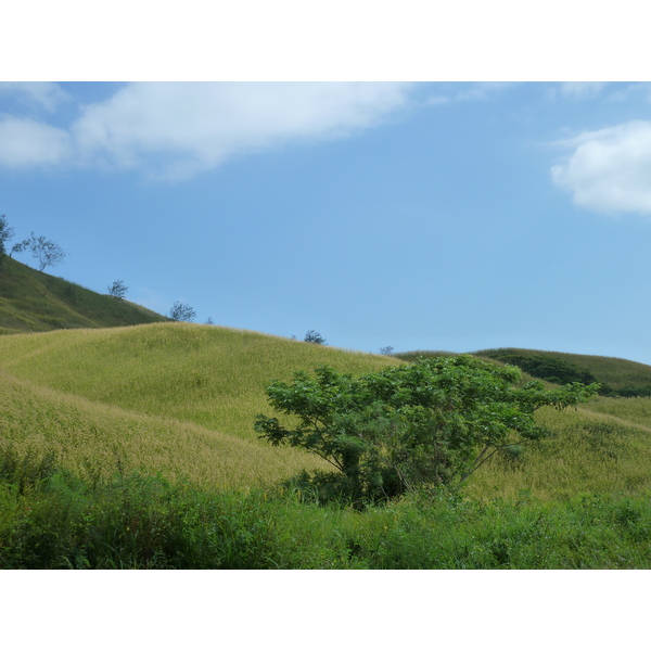 รูปถ่าย ฟิจิ(Fiji) ถนนจากนาดีไปนาตาโดลา(Nadi to Natadola road) 2010-05 89