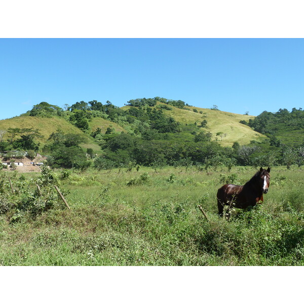 รูปถ่าย ฟิจิ(Fiji) แม่น้ำซิงกาโตกา(Sigatoka river) 2010-05 51