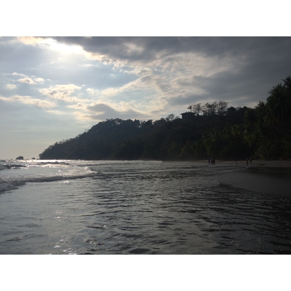รูปถ่าย คอสตาริกา(Costa Rica) มานวยล์อันโตนีโอ(Manuel Antonio) 2015-03 373