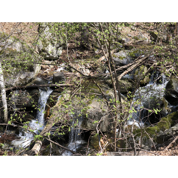 รูปถ่าย ฝรั่งเศส(France) แอบบีแซ็งมาร์แต็งดูกานีกู(Abbaye Saint Martin du Canigou) 2018-04 63