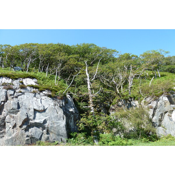 รูปถ่าย อังกฤษ(United Kingdom) สกอตแลนด์(Scotland) เซเลน(Salen) 2011-07 90