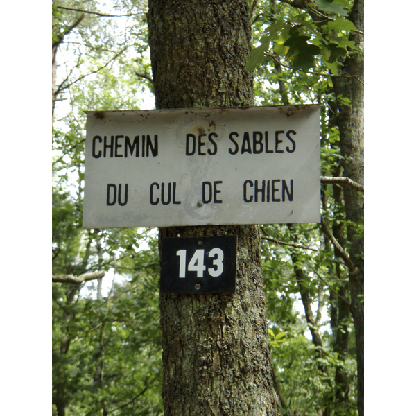 รูปถ่าย ฝรั่งเศส(France) ฟงเทนโบล(Fontainebleau) ทัวร์ป่า(Circuit des 25 bosses) 2007-08 70