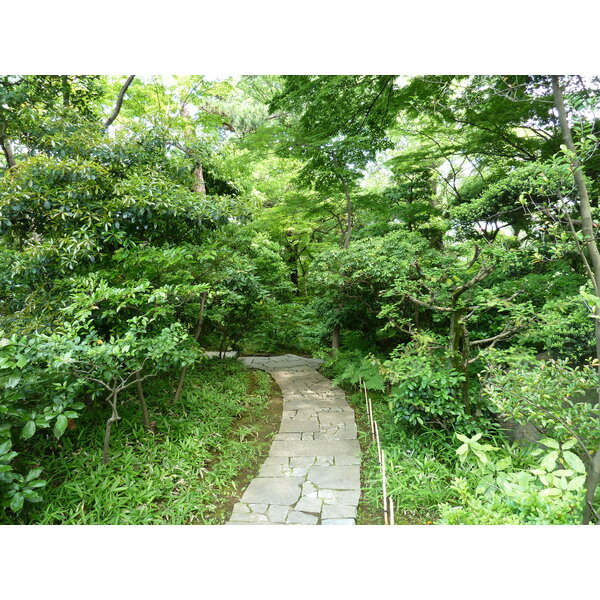รูปถ่าย ญี่ปุ่น(Japan) โตเกียว(Tokyo) พิพิธภัณฑ์เนซุ(Nezu Museum) 2010-06 16