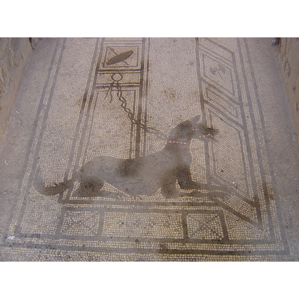 รูปถ่าย อิตาลี(Italy) ปอมเปอี(Pompeii) 2004-11 21