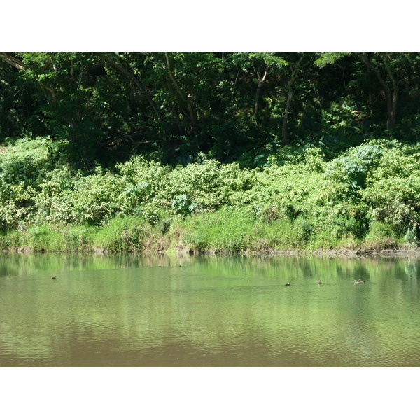 รูปถ่าย ฟิจิ(Fiji) แม่น้ำซิงกาโตกา(Sigatoka river) 2010-05 88