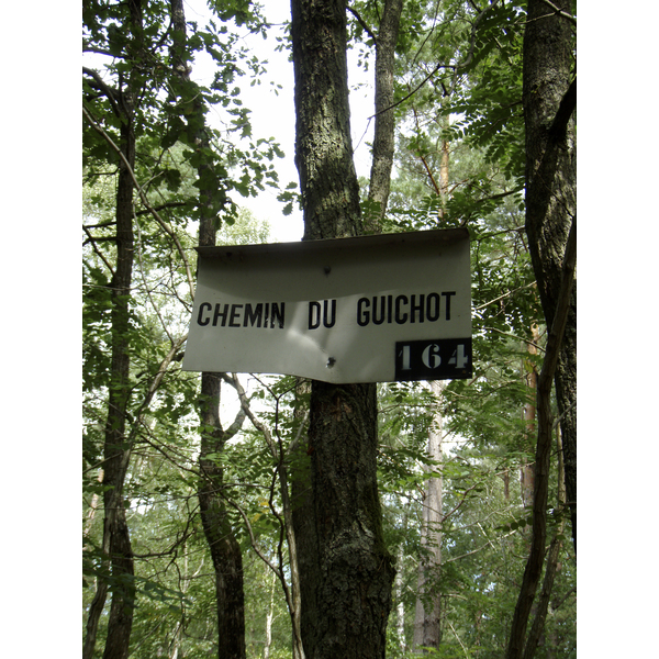 รูปถ่าย ฝรั่งเศส(France) ฟงเทนโบล(Fontainebleau) ทัวร์ป่า(Circuit des 25 bosses) 2007-08 85