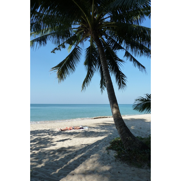 รูปถ่าย ไทย(Thailand) เกาะช้าง(Ko Chang) 2011-01 9