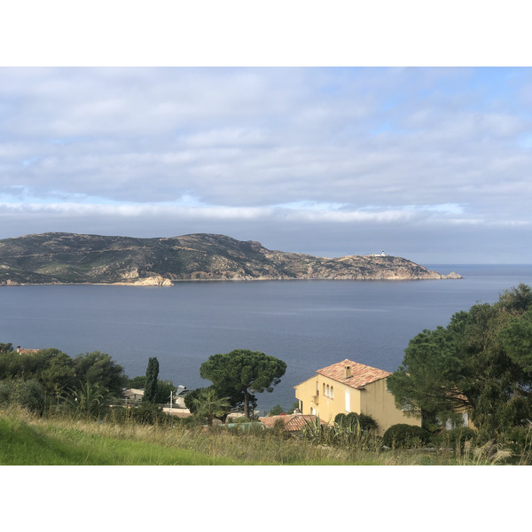 รูปถ่าย ฝรั่งเศส(France) คอร์สิคา(Corsica) คาลวี(Calvi) 2020-10 23