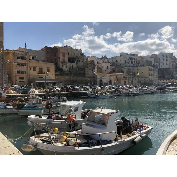 รูปถ่าย อิตาลี(Italy) ซิซิลี(Sicily) กัสเตลลัมมาเรเดลโกลโฟ(Castellammare del Golfo) 2020-02 19