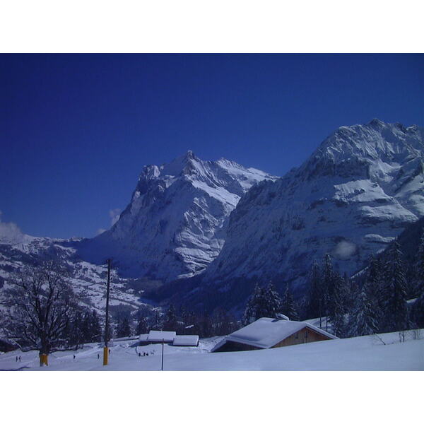 รูปถ่าย สวิสเซอร์แลนด์(Switzerland) กรินเดลวัลด์(Grindelwald) 1999-04 11