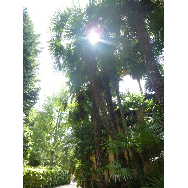 รูปถ่าย อิตาลี(Italy) วิลลาปัลลาวีชีโน(Villa Pallavicino) 2009-06 95