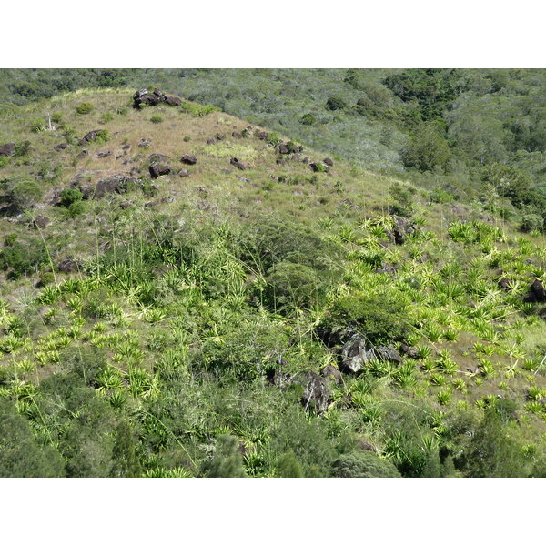 รูปถ่าย นิวแคลิโดเนีย(New Caledonia) ถนนจากตงตูตาไปทีโอ(Tontouta to Thio road) 2010-05 32
