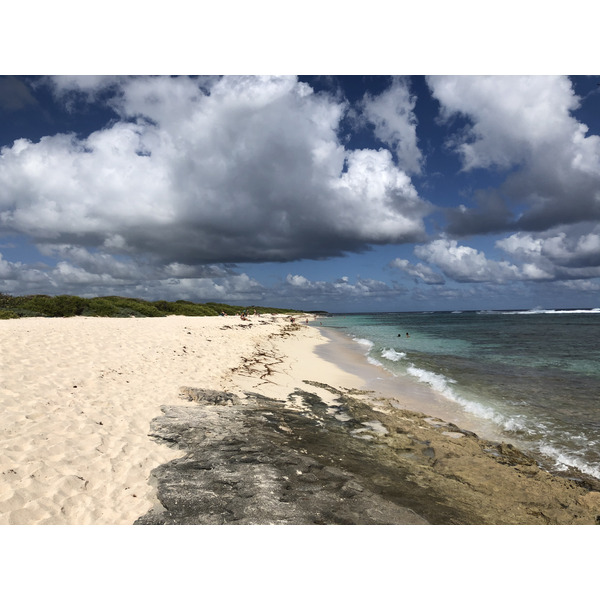 รูปถ่าย กวาเดอลูป(Guadeloupe) หาดกร็องด์อ็องส์เดซาลีน(Grande Anse des Salines Beach) 2021-02 7