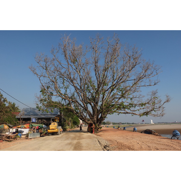 รูปถ่าย ลาว(Laos) เวียงจันทน์(Vientiane) 2012-12 230