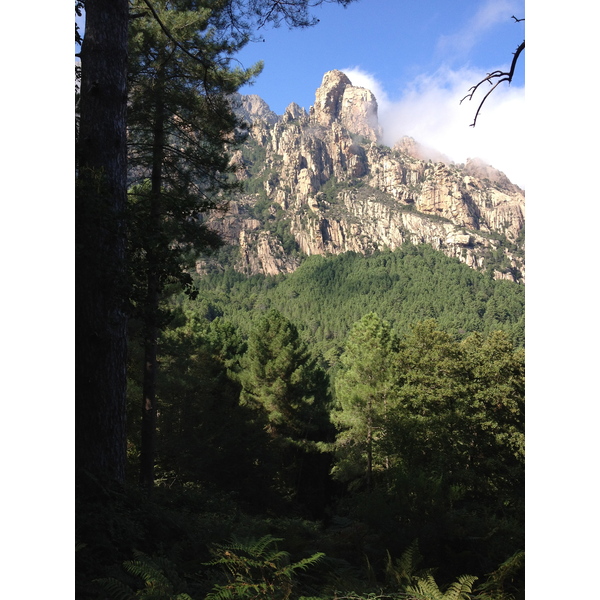 รูปถ่าย ฝรั่งเศส(France) คอร์สิคา(Corsica) บาแวลลา(Bavella) 2012-09 87