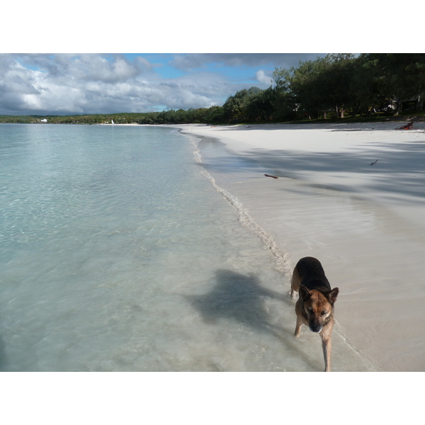 รูปถ่าย นิวแคลิโดเนีย(New Caledonia) เกาะลีฟู(Lifou) อ่าวชาโตบรีย็อง(Chateaubriand Bay) 2010-05 73