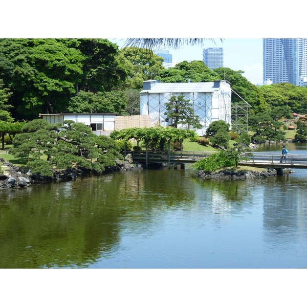 รูปถ่าย ญี่ปุ่น(Japan) โตเกียว(Tokyo) สวนฮามะริคิว(Hama rikyu Gardens) 2010-06 88