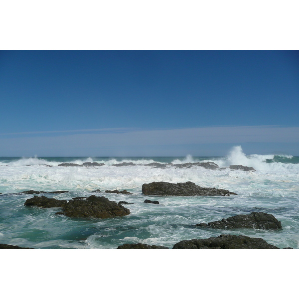 รูปถ่าย แอฟริกาใต้(South Africa) อุทยานแห่งชาติซิตซิคัมมา(Tsitsikamma National Park) 2008-09 169