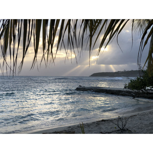 รูปถ่าย กวาเดอลูป(Guadeloupe) แซ็งตาน(Sainte Anne) 2021-02 37