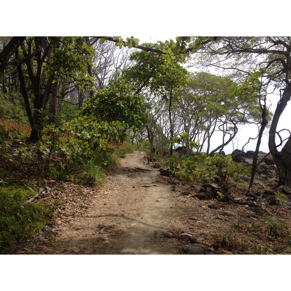 รูปถ่าย คอสตาริกา(Costa Rica) มอนเตซูมา(Montezuma) 2015-03 130