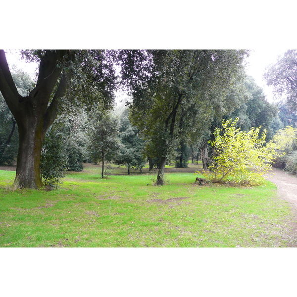 รูปถ่าย อิตาลี(Italy) โรม(Rome) วิลลาโดเรียปัมฟีลี(Villa Doria Pamphili) 2007-11 10