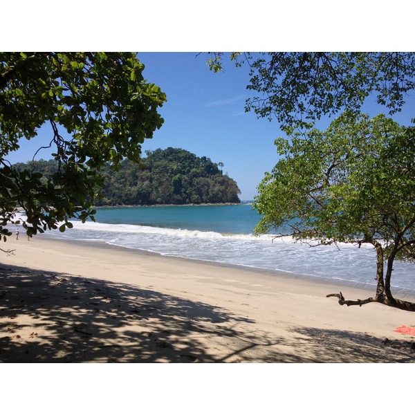 รูปถ่าย คอสตาริกา(Costa Rica) มานวยล์อันโตนีโอ(Manuel Antonio) 2015-03 283