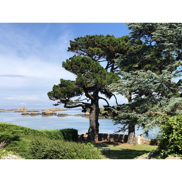 รูปถ่าย ฝรั่งเศส(France) เกาะเบรอา(Brehat Island) 2020-06 207