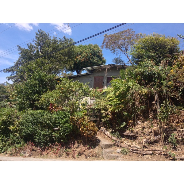 รูปถ่าย ปานามา(Panama) โบเกเต(Boquete) 2015-03 51