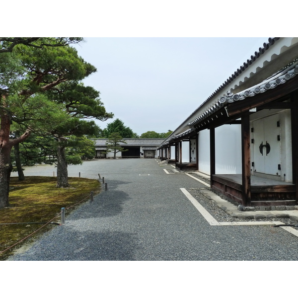 รูปถ่าย ญี่ปุ่น(Japan) เกียวโต(Kyoto) ปราสาทนิโจ(Nijo Castle) 2010-06 49