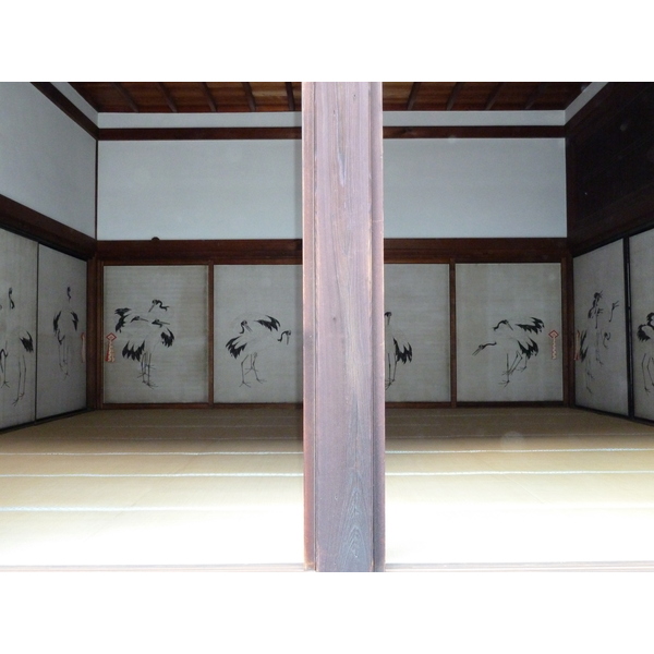 รูปถ่าย ญี่ปุ่น(Japan) เกียวโต(Kyoto) พระราชวังหลวงเกียวโต(Kyoto Imperial Palace) 2010-06 1