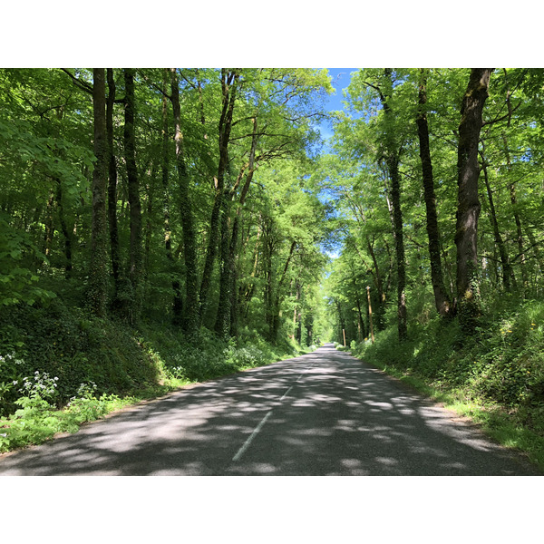 รูปถ่าย ฝรั่งเศส(France) ฟลัวรัก(Floirac) 2018-04 102